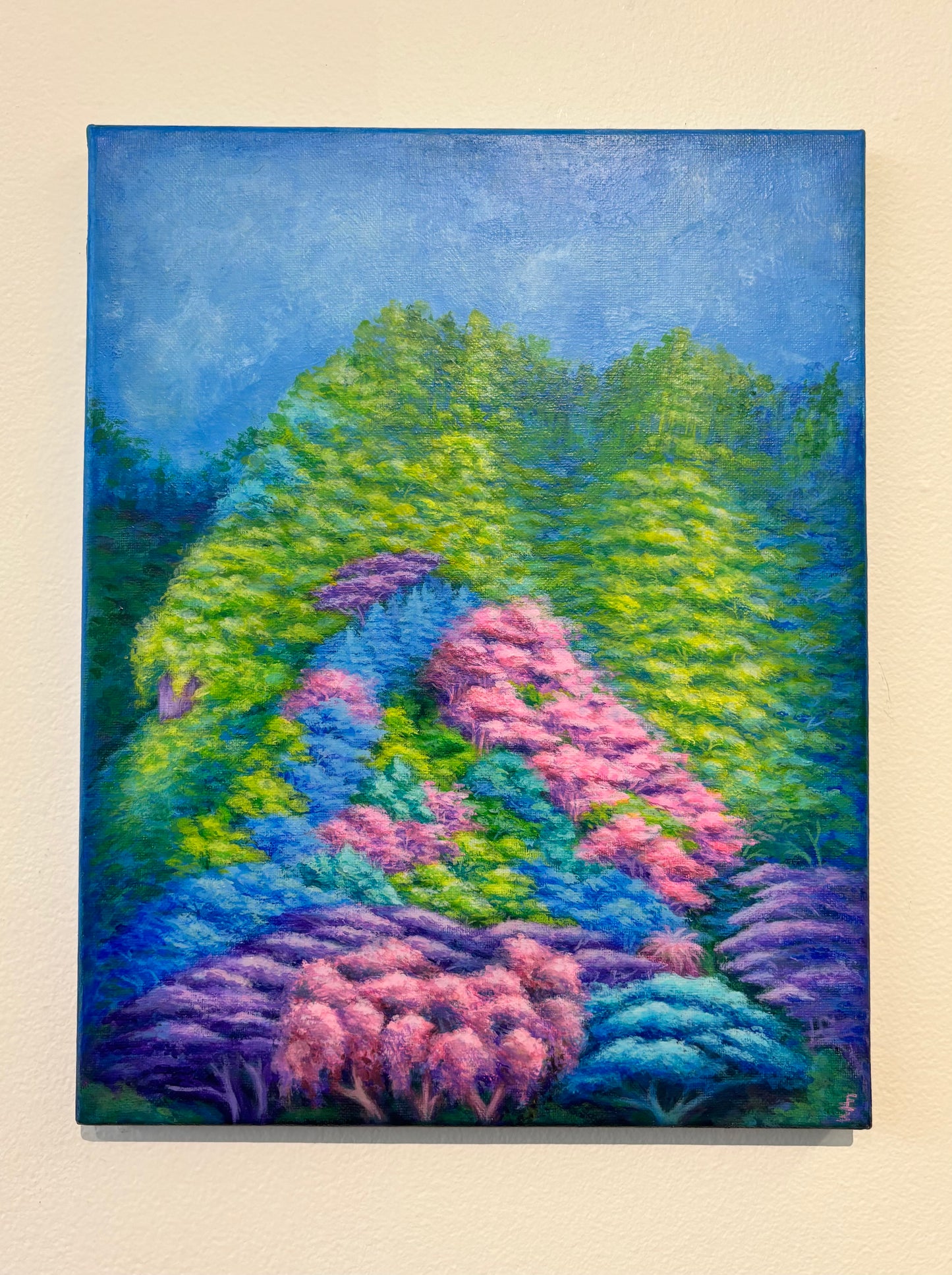 Un Valle de Arcoiris by Emma Colon