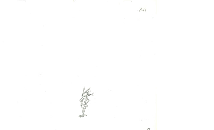 Coyote Gazing Behind Layout Drawing