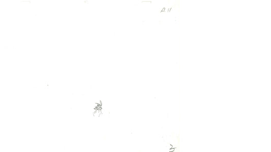 Coyote Turning Back Layout Drawing